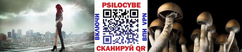 Псилоцибиновые грибы GOLDEN TEACHER  Миасс 